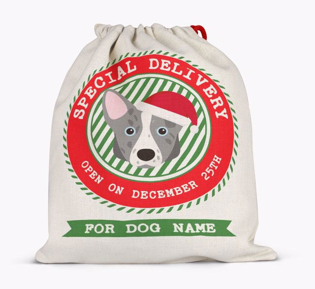 Special Delivery: Personalized {breedFullName} Santa Sack